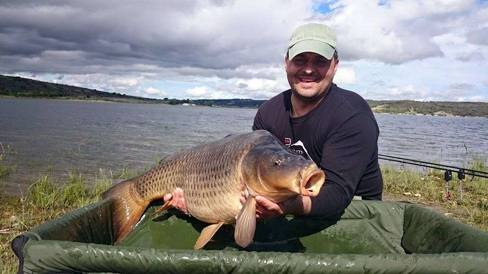 crap salbatic aprilie 2015 - 111624475451377422924124079764124097812162n.jpg